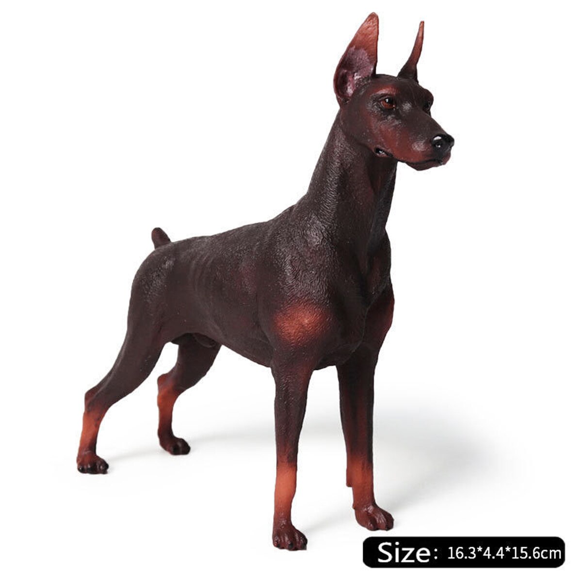 Tysk dobermann pinscher hund kjæledyr dyr figur modell leketøy samler pedagogisk leker modell dekorasjon låve bursdag: Rød
