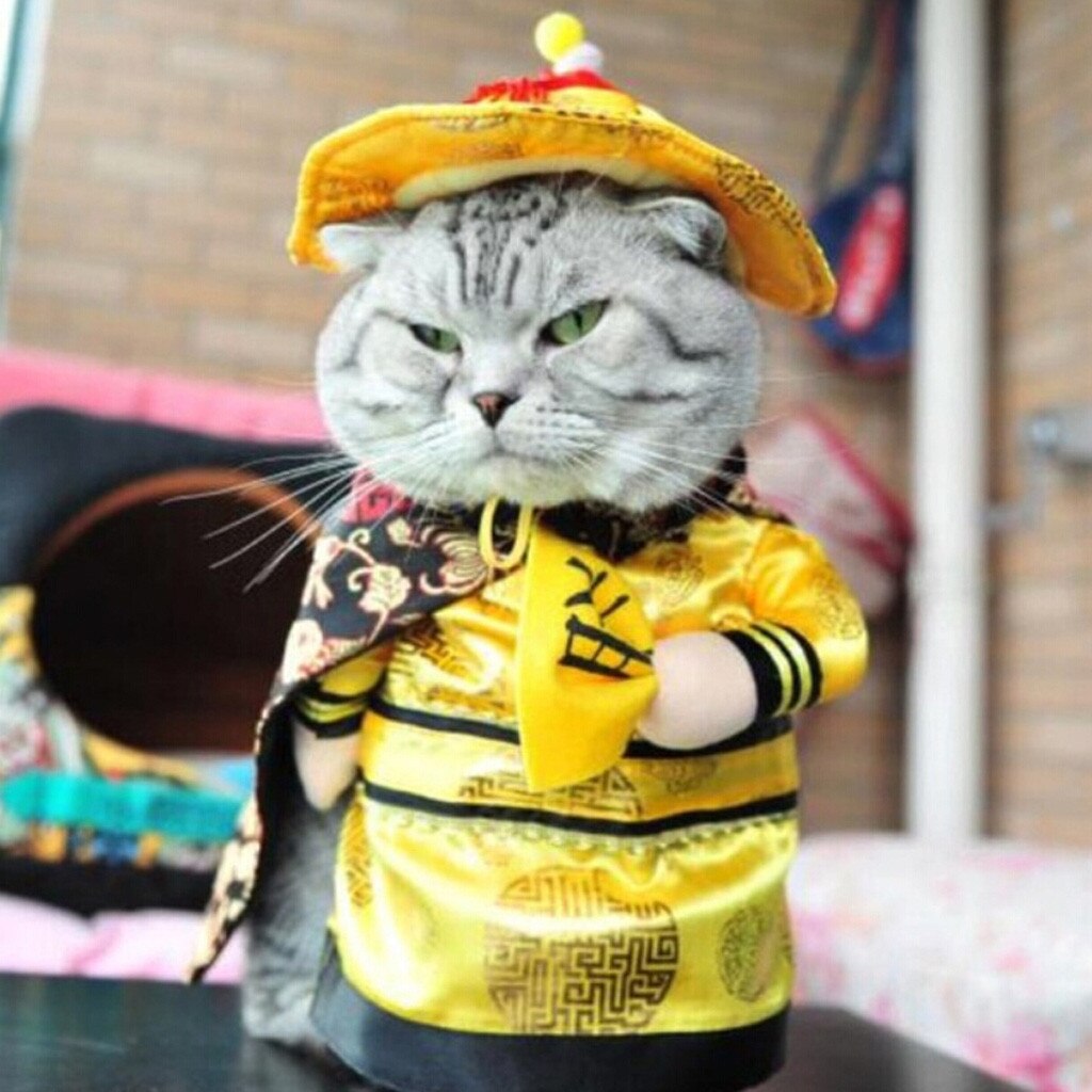 cute funny Cosplay clothing for Pet Funny Cat Costumes Clothing Dress Clothes for party Cosplay different career#0212y10