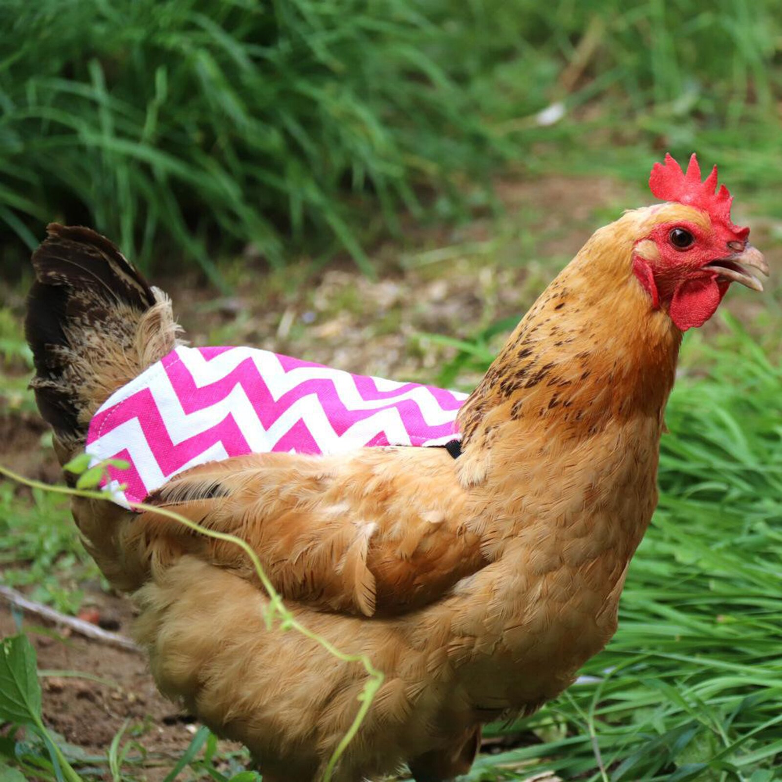 Gewatteerde Fabrci Hen Schort Kip Zadel Terug Protector Pluimvee Supplies: Strips