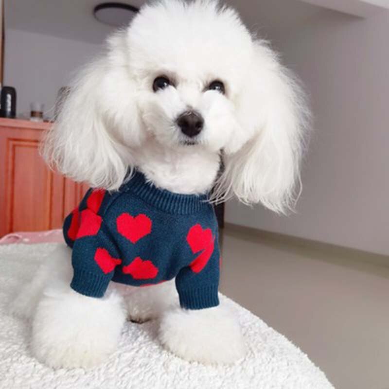 Vinter sällskapsdjur kläder hund katt tröja valp kläder schnauzer stickad hund tröja hålla värmen hund kläder kläder för små hundar