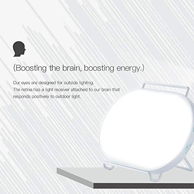 Bright White Light Therapy Lamp with 4 Adjustable Brightness, UV-Free 10,000 Lux LED Therapy Light, Press Control with Timer Fun