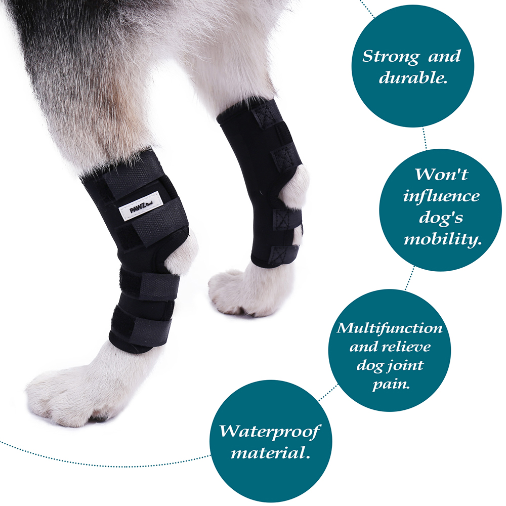 2 PCS Pet Knee Pads Dog Back Leg Brace Pet Protector Dog Canine Hint Leg Brace Wraps Wounds Brace Heal Sprains Protect