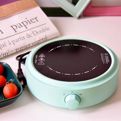 110v/220v elektriska keramiska spisar tespis hemmakaffe tekokare vattenkokare 2- växlad temperaturregulator elektrisk vattenkokare