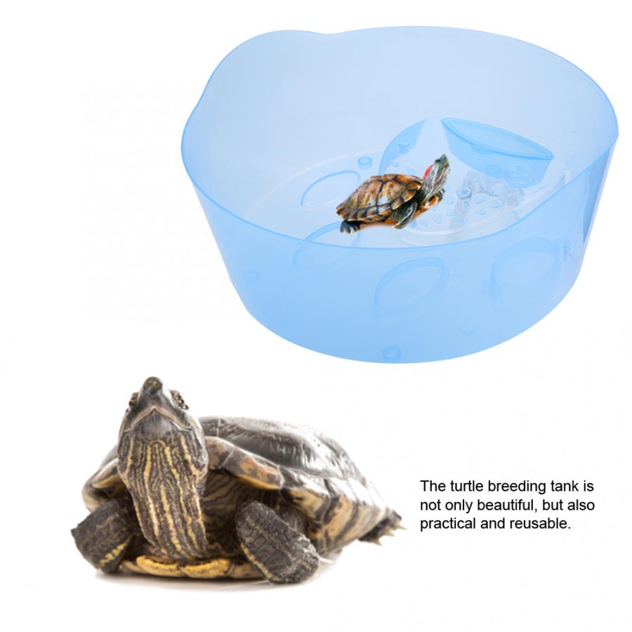 Schildpad Schildpad Vivarium Doos Aquarium Tank Fokken Voedsel Schildpad Voerbox Met Koesteren Platform Thuis Aquarium