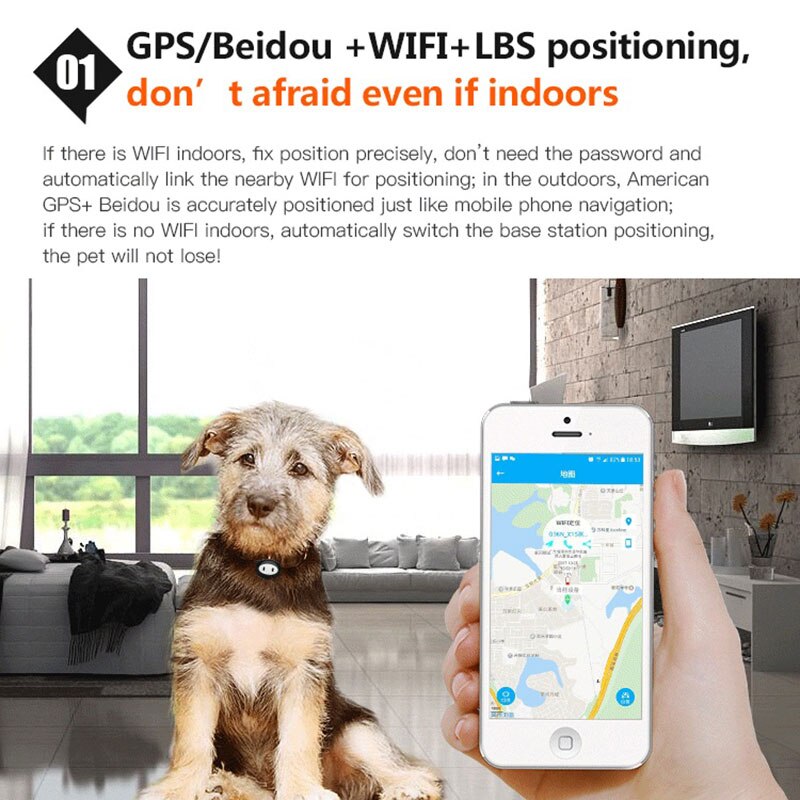 Impermeabile Collare dell'animale Domestico di GPS GSM inseguitore Reale localizzatore per I Cani di Trasporto APP traccia Dispositivo di Allarme