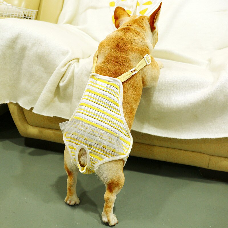Pantalones cortos reutilizables para mascotas, braguitas sanitarias fisiológicas lavables para mujer, ropa interior para menstruación, calzoncillos para gato y perro