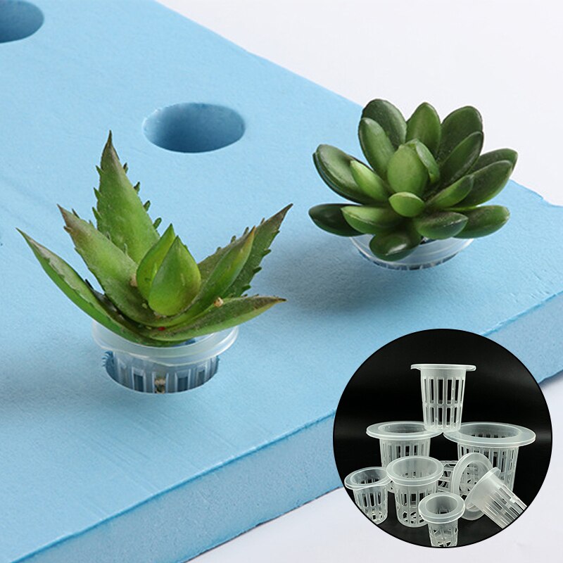 Pvc plastnät kruka trädgård hydroponisk plantskola nätkopp aeroponic grönsaksväxt smutsfri odlingskorg 10 st
