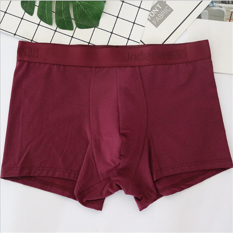 5pcs High Density Mens Cotton and Modal Underpants Durable and Washable Underwear Factory