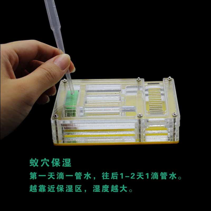 Acrylic Ant Farm Pet Breeding Box Insect Supplies Reptile Terrarium for Pet Lovers