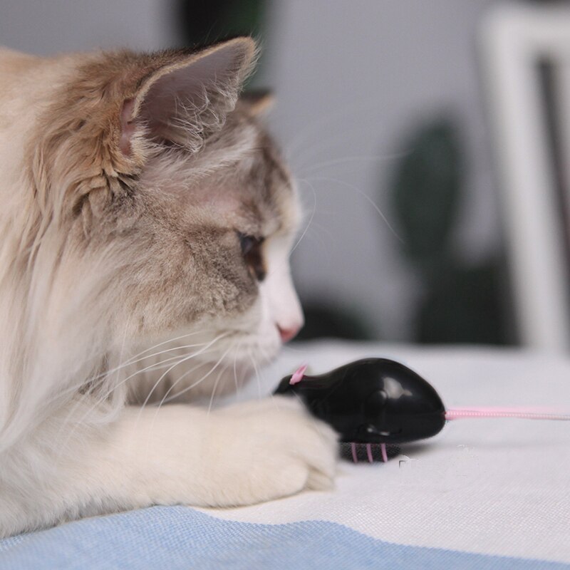 [MPK Store] Battery Operated Cat Toy, Black Ant/Mouse, White Ant/Mouse, Electric Fast Moving Toy, Cats-go-crazy Toy Series