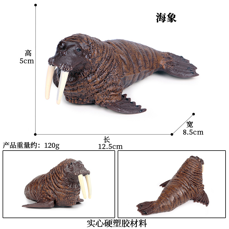 Simulatie Oceaan Dier Seal Zeeleeuw Walrus Model Action Figure Beeldjes Collectie Cognitie Educatief Childrens Toys: M-556