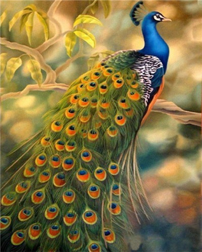 EverShine Painting By Numbers Animals Canvas Wall Set Paint By Numbers For Adults Peacocks Drawing Art: SZES-975