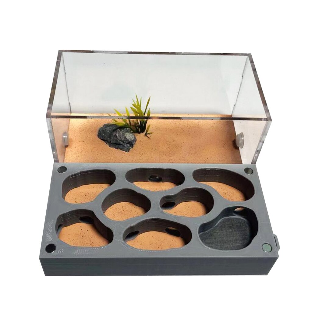 3D Acryl Ant Farm Ecological Flat Ant Nest with Feeding Area Concrete Ant House Pet Anthill Workshop Moisturizing Water Pool: C