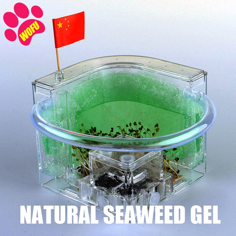 WOFUWOFU Lnsect Hotel，Ant Farm，Ant Glow Ocean View Villa Big Ants House Ant Nest Villa Insect Pet Anthill: green