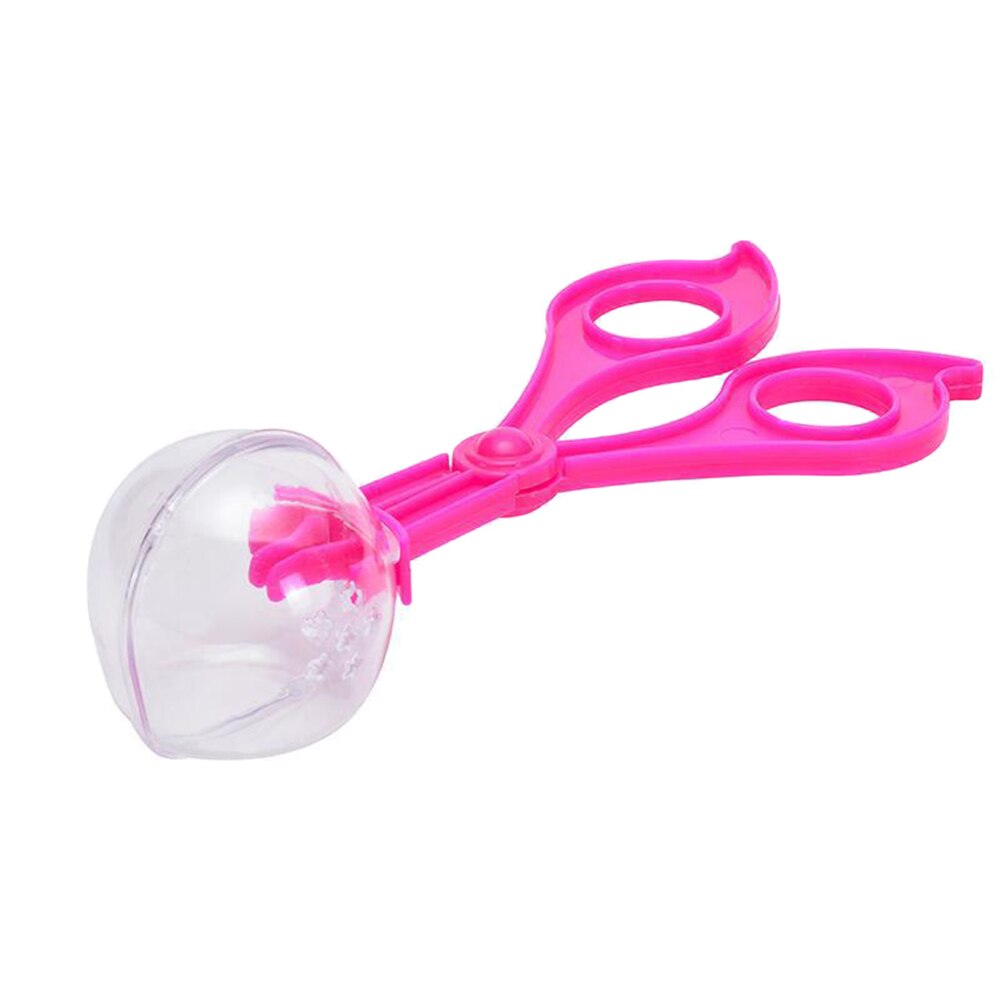 Critter Barn Habitat for Indoor/Outdoor Insect Collecting Box Transparent with Magnifying Glass