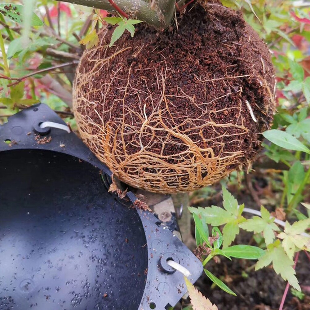 Planterotning kugotransplantation rodning voksende kasse avlskasse plante roddyrkningskasse til have 5/8cm i diameter