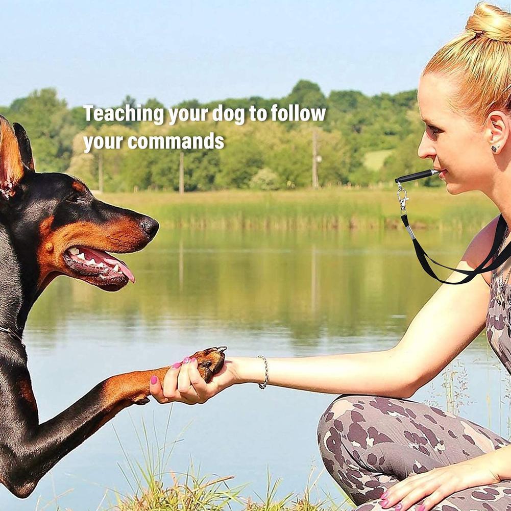 1pcs Black Two-tone Ultrasonic Flute Dog Whistles For Training Accessories Whistle Whistle Sound Pet Dog Puppy Obedience G0D9