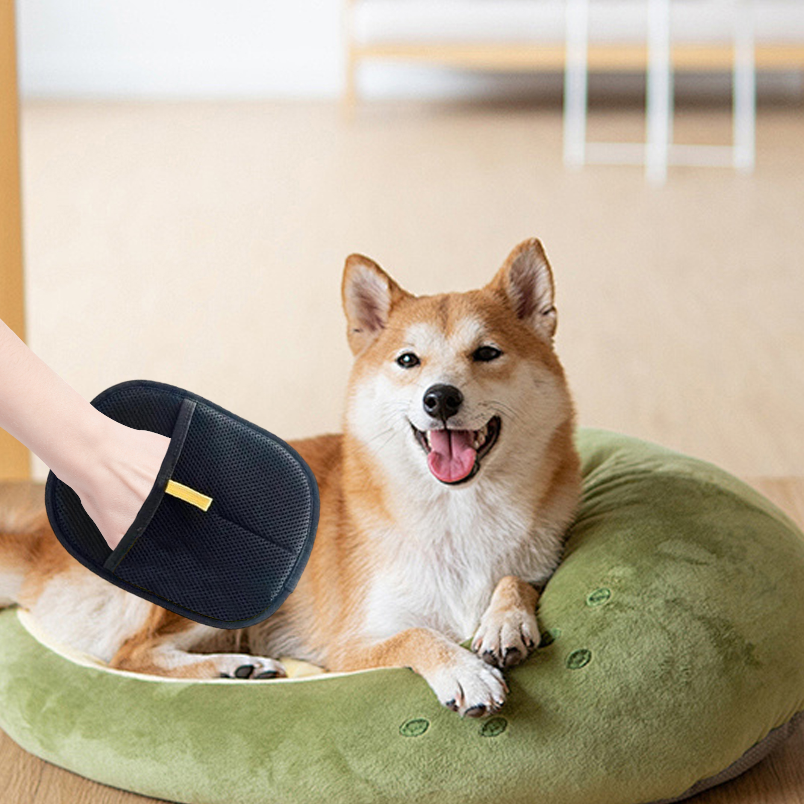 Gants pour chat pour toilettage gants antistatiques pour animaux de compagnie gants doux pour animaux de compagnie toilettage pour chiens et chats gants de toilettage Double face