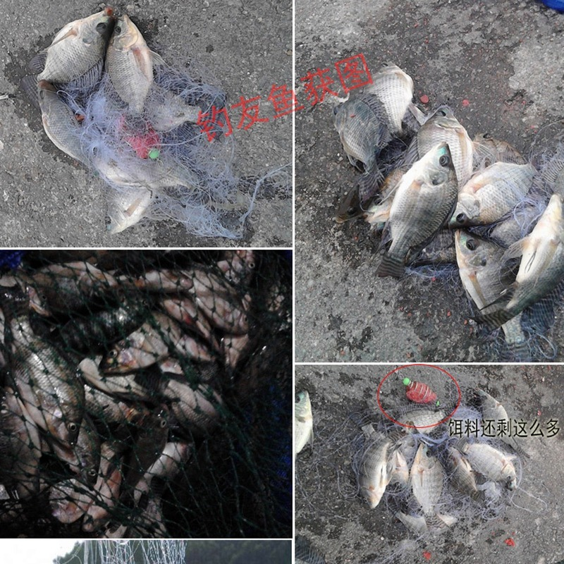 winter ice fishing Net Trap Mesh Luminous bead Netting Fish net Tackle Copper Shoal Cast Gill Nets For Fishing Traps