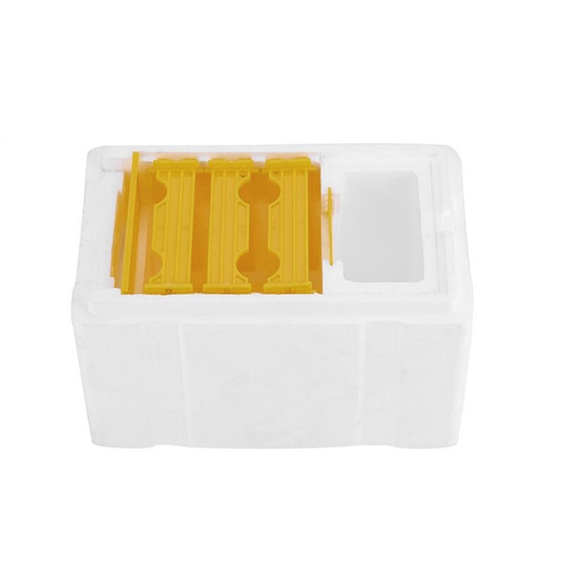 Scatola di accoppiamento scimmia in schiuma con griglia di riscaldamento custodia da allevamento regina impermeabile 24.1x15x14.1cm strumenti di apicoltura per imcapsulazione JA55