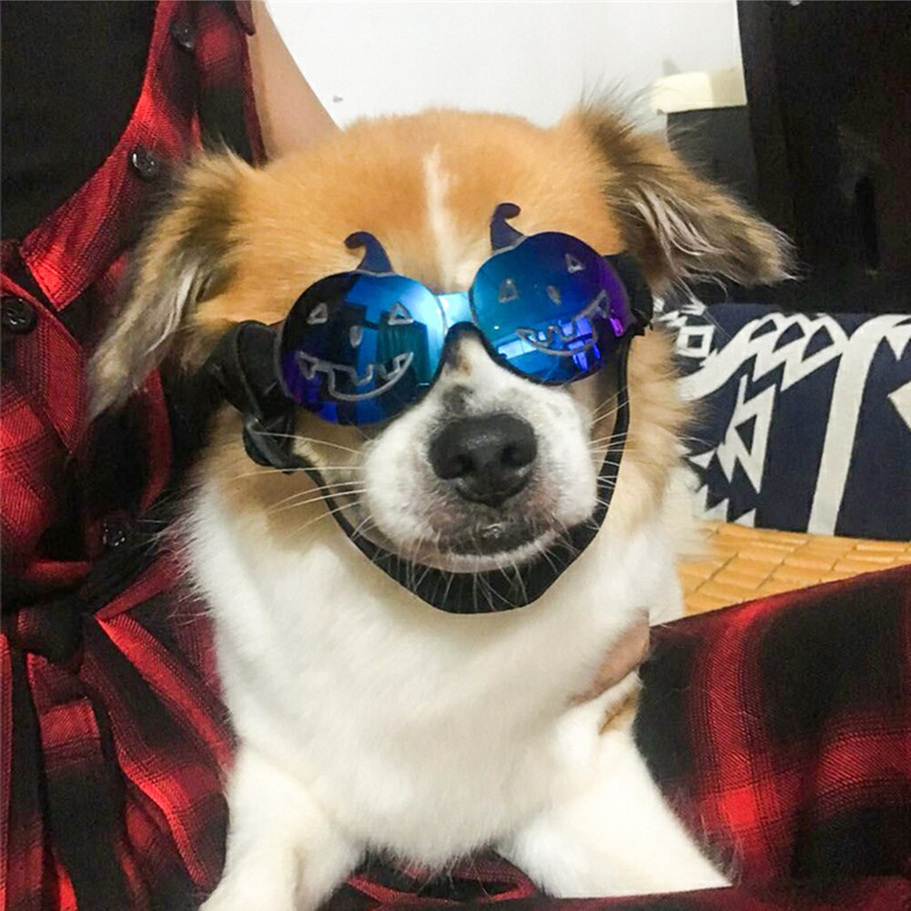 Huisdier Zonnebril Halloween Grappige Pompoen Bril Voor Kleine Middelgrote Honden Katten Foto Props