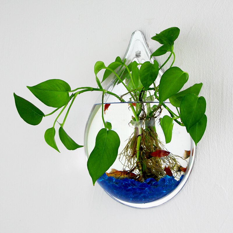 Peceras acrílicas para colgar en la pared, accesorios de montaje en pared, para acuario, maceta para flores, florero para plantas, Mini acuario, Betta