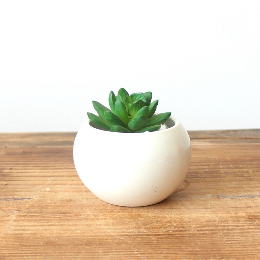Mini keramische decoratieve bloempotten plantenbakken vetplanten kwekerij bloemenhouder organizer tuinbenodigdheden met gat (wit)