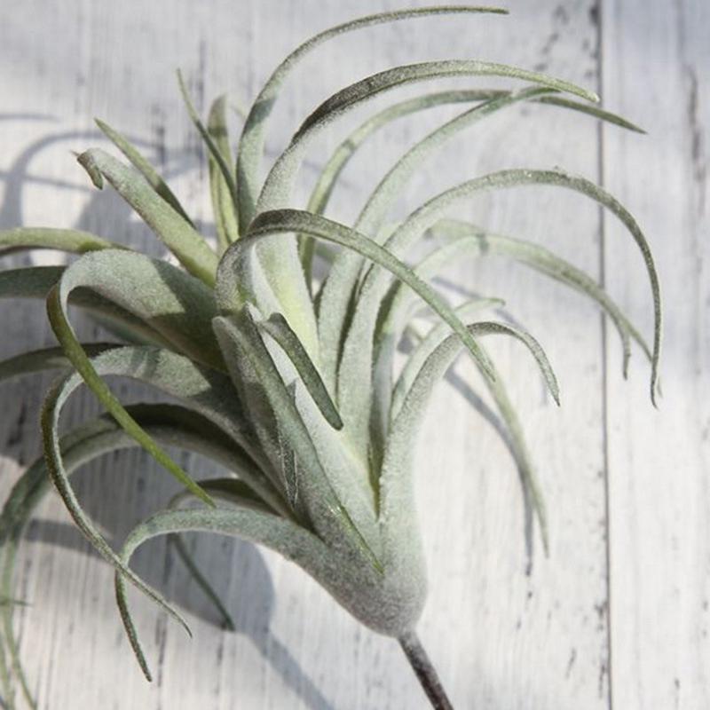 Césped Artificial de piña, plantas de aire, flores falsas como decoración de pared del hogar