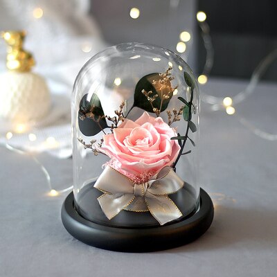 Preserved Flower Rose Glass In A Dome Dried Flower Bouquet For Valentine's Day Girlfriends Birthday Wedding: Pink rose