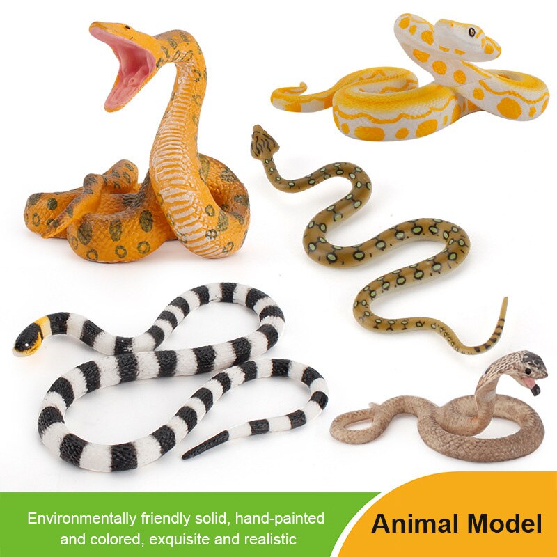 Animals Growth Cycle Life Cycle Model Set Children Cognitive Cobra Toy Accessories Mini Animal Child PVC Figures Dolls Toys For