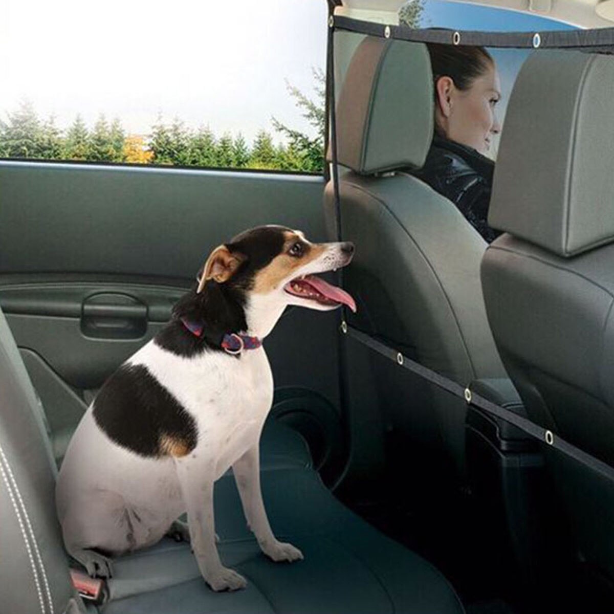 Adjustable Mesh Pet Protection Car Barrier suit for Dog Cat Safety Dog Car Carrier Rear Seat Pet Fence Anti-collision