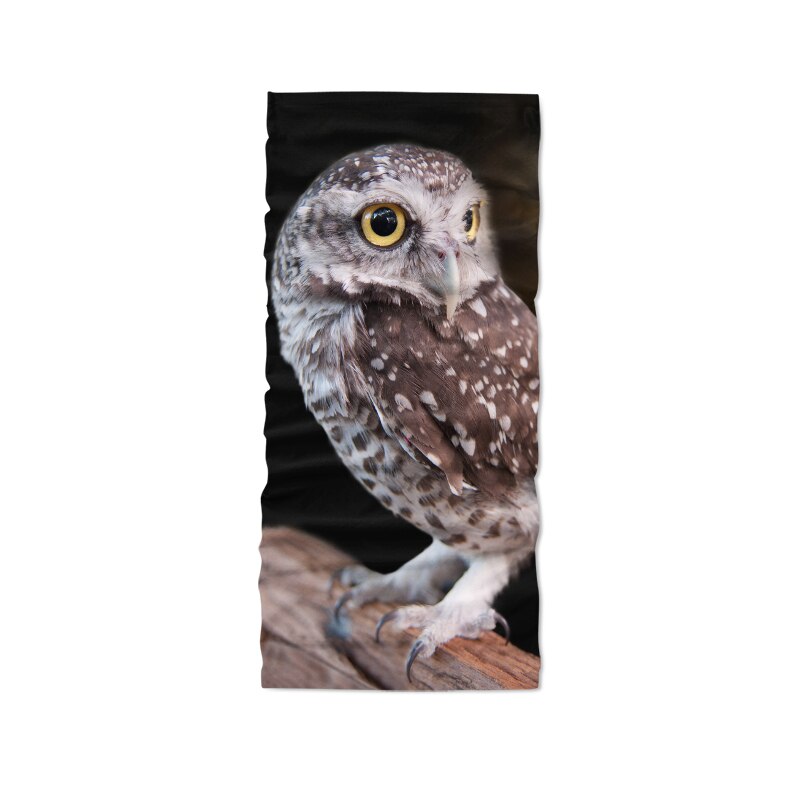 Magic Scarf Animal Headwear Owl Printed Headbands Bandana Cap Scarf Tube Mask Neck Gaiter Headwrap Balaclava Sweatband: Style4