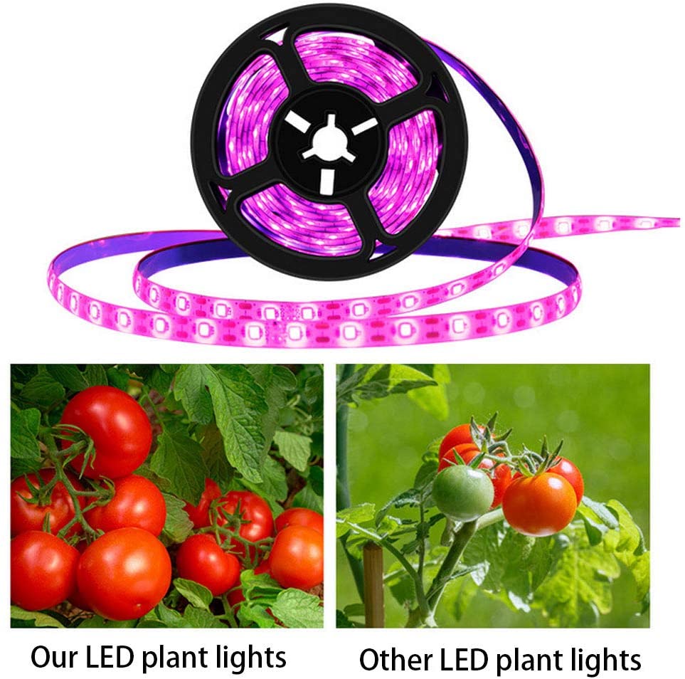 Waterdichte Led Verlichting, planten Groeien Licht Strip Led Indoor Lamp String Full Spectrum Waterdichte 5V Usb Powerd Voor Kas