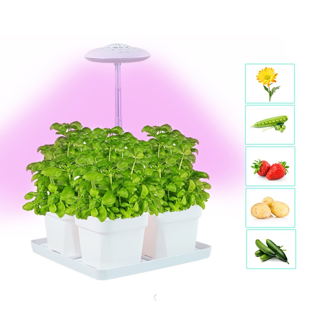 Hydroponics Growing System Indoor Herb Garden Starter Kit With Timer Control Led Grow Light Smart Nursery Pot For Home Kitchen