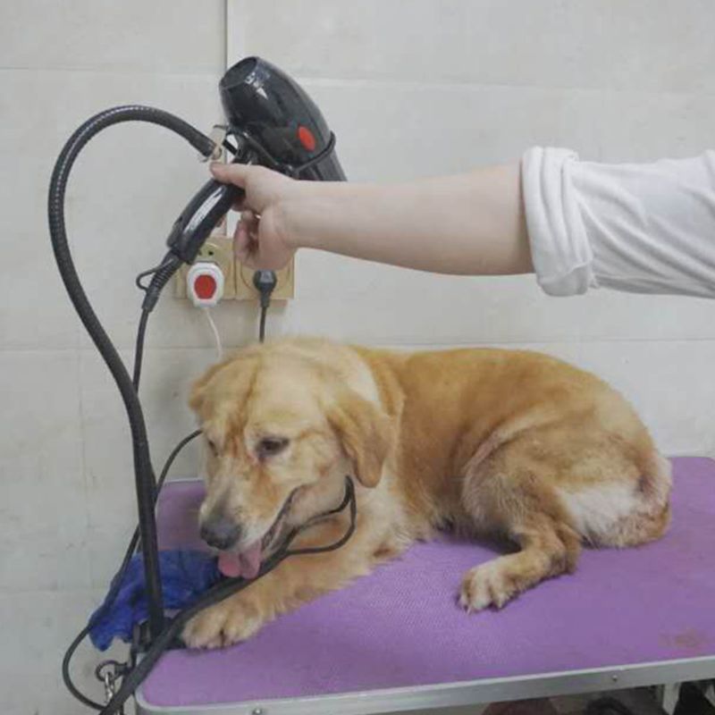 Dual-use Pet Hair Dryer Bracket Telescopic Any Shape Fixation Frame Multipurpose Pet Grooming Accessories