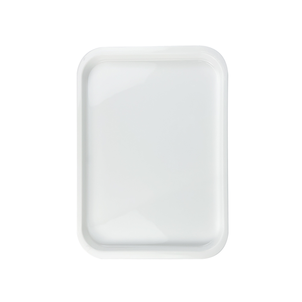 Bandeja de instrumentos de odontología esterilizable, paletas de plástico esterilizables en Autoclave, herramientas de dentista, bandejas planas, accesorios consumibles, 1 Uds.