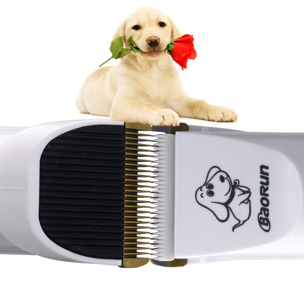 8w genopladeligt elektrisk kæledyrshårtrimmer kattehund kæledyrshår barbermaskine højeffektklipper, der skærer støjsvagt sikkert