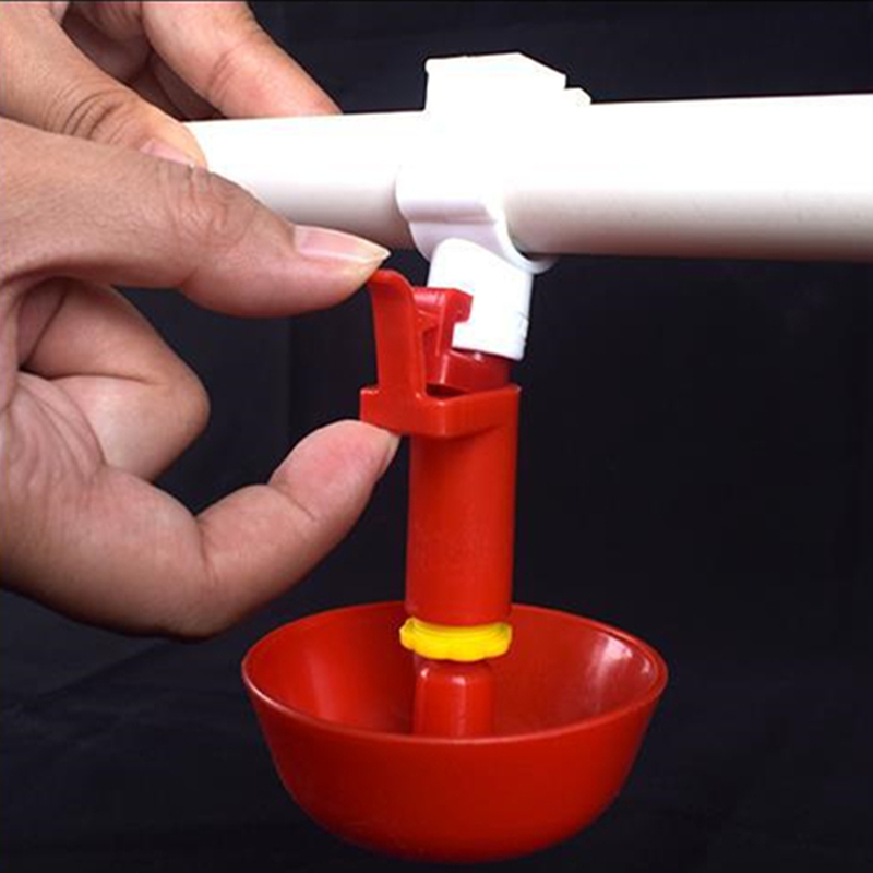 Automatic Chicken red Cup Waterer Bowl Kit Farm Coop Poultry Waterer Drinking Feeder Tool for Chicks Duck Goose Turkey Quail Acc