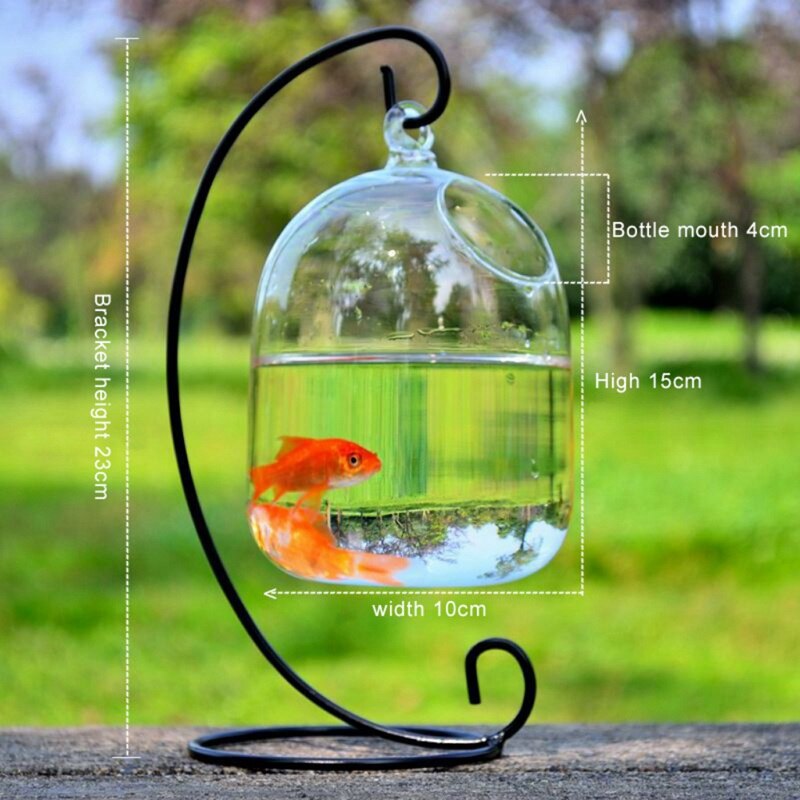 Hängande glas vas akvarium svart hylla guldfisk tank tillbehör: B