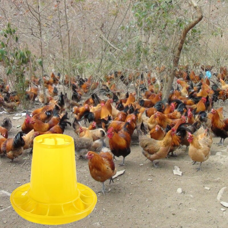 Baby Chicken Feeder for Poultry Plastic Chick Feeder for Multiple Chicks At Once Easy to Clean Highly Practical for Coop