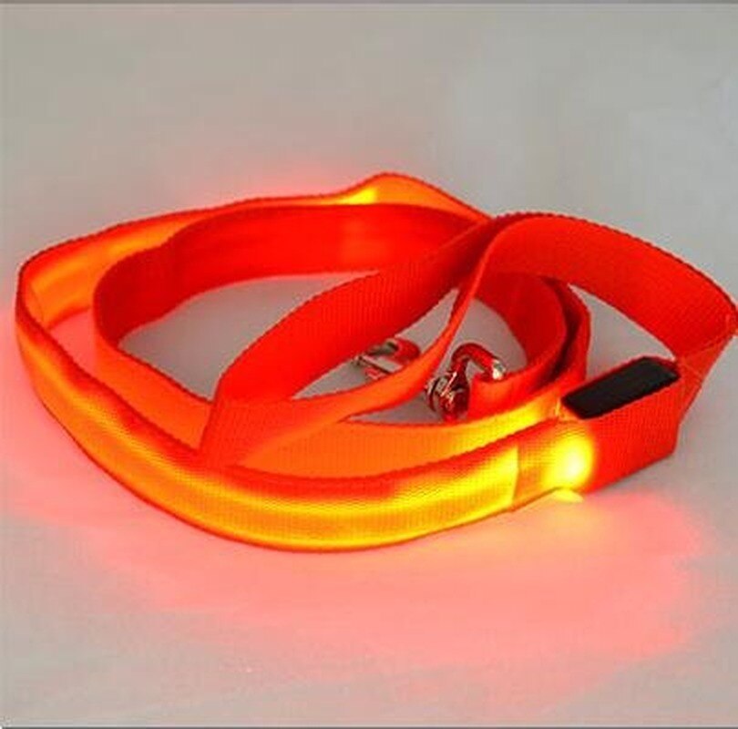 Laisse en Nylon pour chien, sécurité nocturne, LED clignotante dans la nuit, collier pour animaux de compagnie, dessin pour chat, petit gabarit