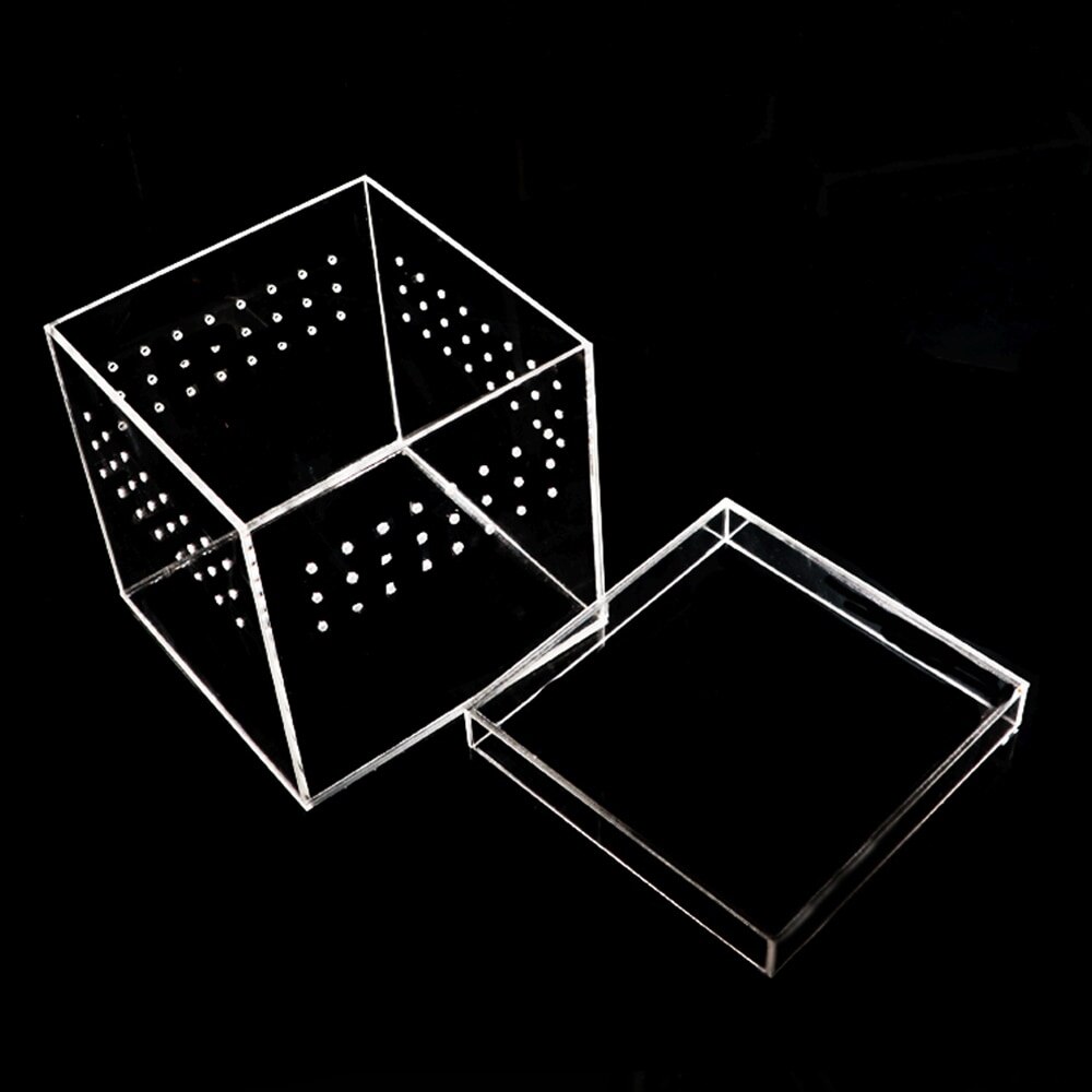 Plastic Reptiles Living Box Transparent Reptile Terrarium Habitat For Scorpion Spider Ants Lizard Breeding Feeding Cases