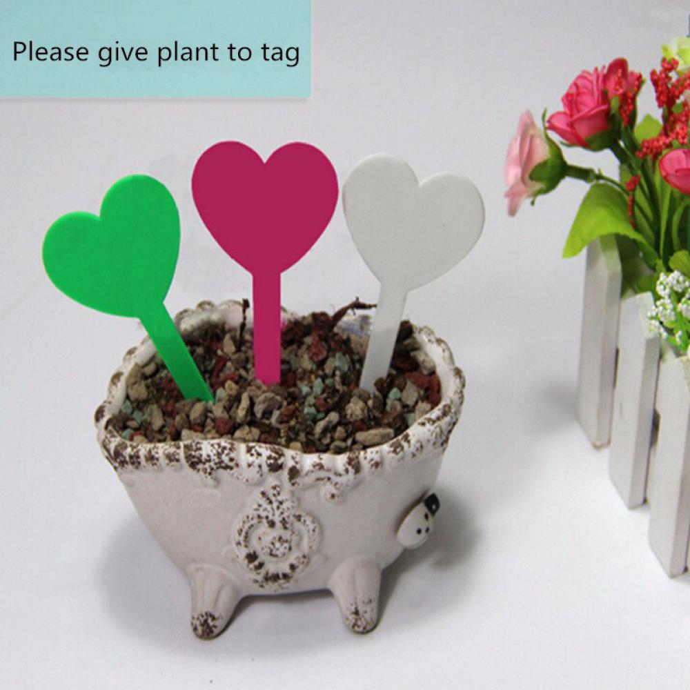 50 stk farverige plantemarkører havebonsai sukkulent frøplanter tags skilt havearbejde etiketter pæl plast plante kærlighed hjerte tags