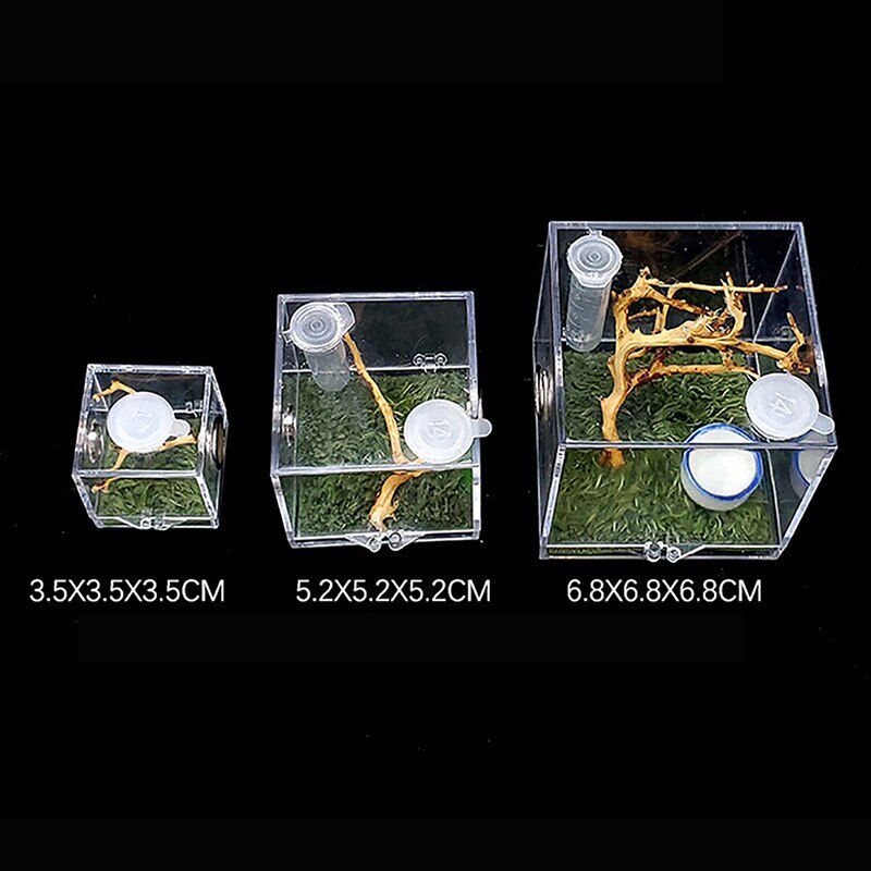 Caja de plástico para cría de insectos, jaula de alimentación transparente para araña saltamontes, Grillo, escorpión, escarabajo, Mantis