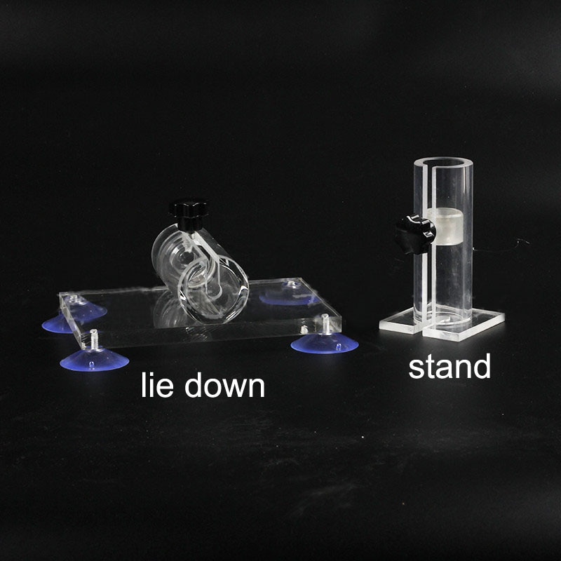 Organic Glass Little Mouse Holder Tail Vein Injection Laboratory Mice Fixer