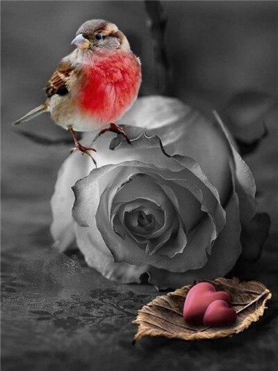 Evershine maling efter tal blomster håndmalet vægkunst billede af tal rose tegning lærred boligindretning: Szes -761