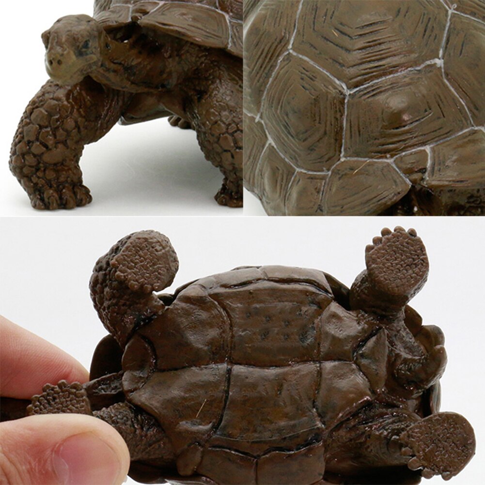 3inch Galapagos Tortoise Turtle Model Figure Animal Toy - Collectable #W0