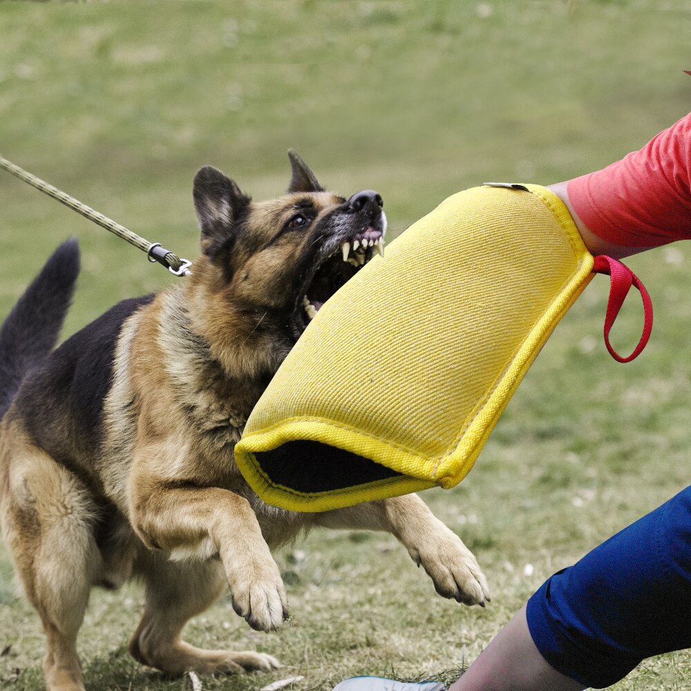 Hundebid armbeskyttelse ærme kæledyrstræningsbideværktøj til mellemstore hunde politihund tysk hyrde pitbull