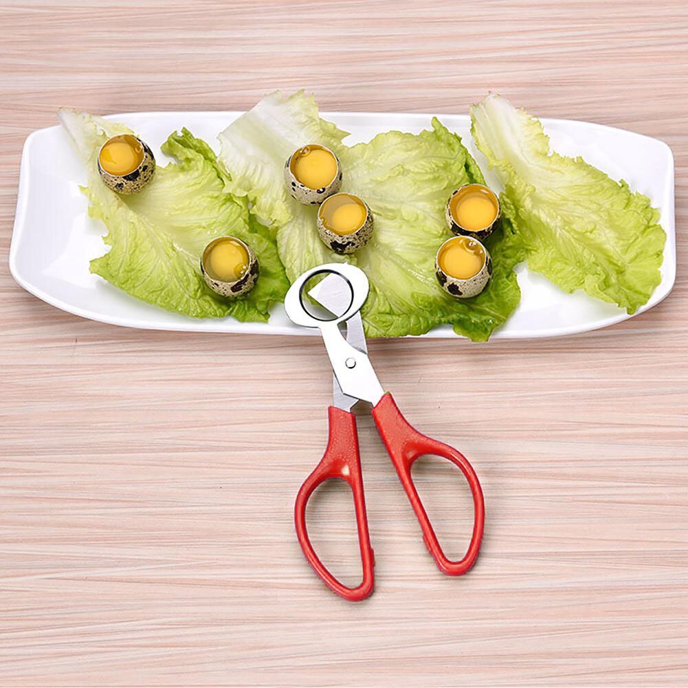 Ciseaux coupe-oiseau, ouvre-oiseau, outil de cuisine, de coquilles, ciseaux craquelins, cigare, lame en acier inoxydable