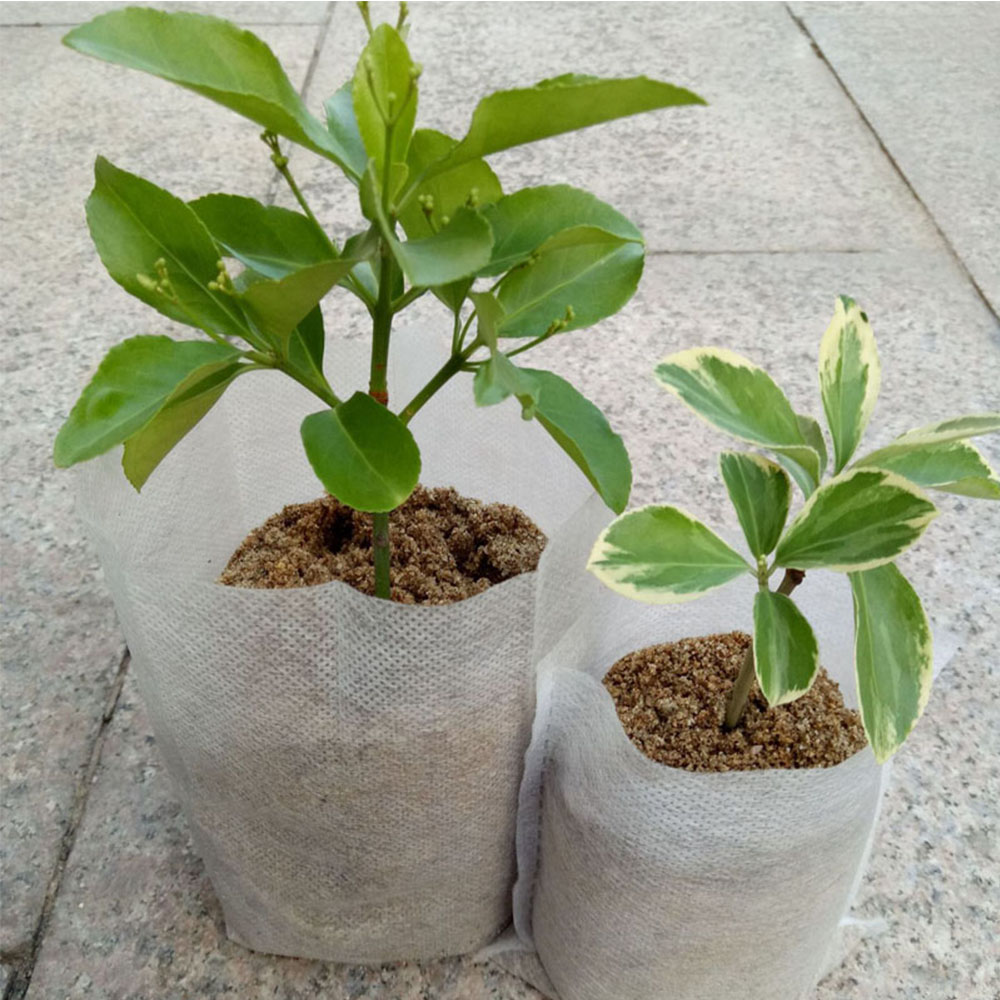 100X Biodegradable Nursery Bags Garden Nonwoven Fabric Plant Grow Bags Seedling Eco-Friendly Ventilate Bag